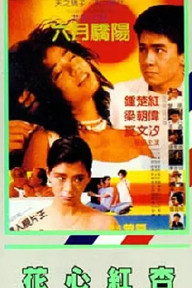 花琉璃轶闻电视剧免费