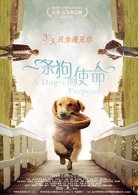 亚洲视频一区在线